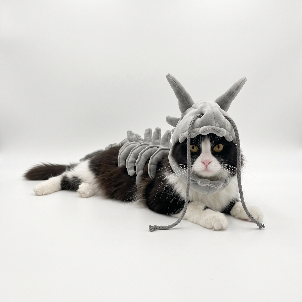 Disfraz de Dinosaurio para Gatos