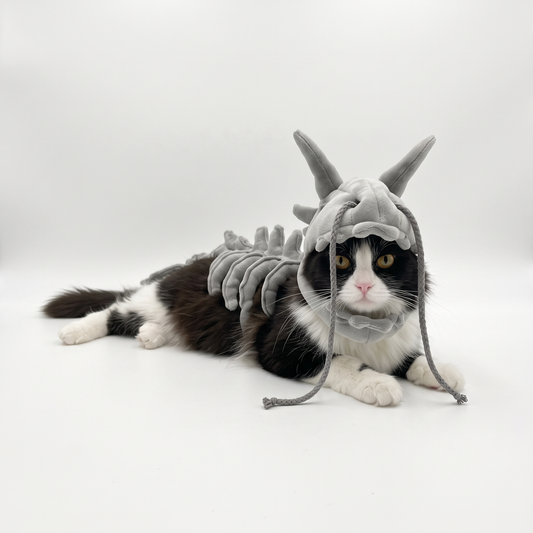 Disfraz de Dinosaurio para Gatos